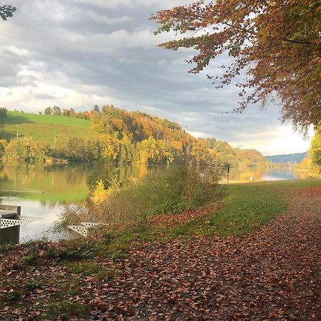 Charming Studio Near Rotsee Lucerne Kitchen/Wifi/Wasching Machine Kültér fotó