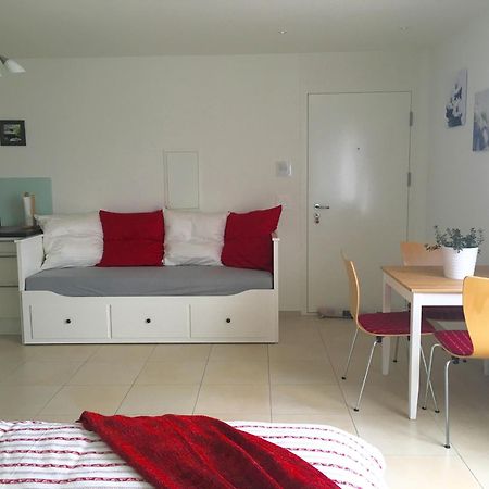Charming Studio Near Rotsee Lucerne Kitchen/Wifi/Wasching Machine Kültér fotó