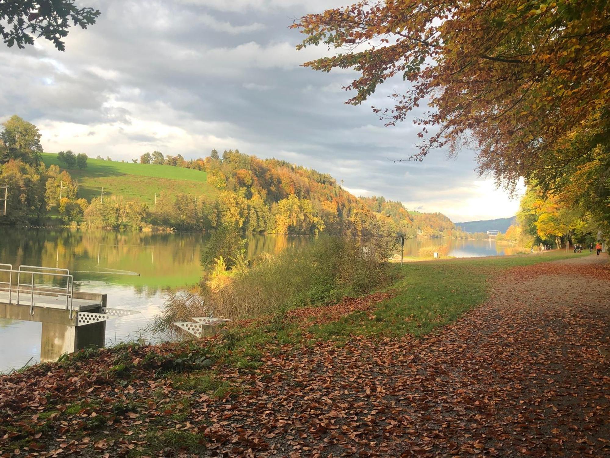 Charming Studio Near Rotsee Lucerne Kitchen/Wifi/Wasching Machine Kültér fotó