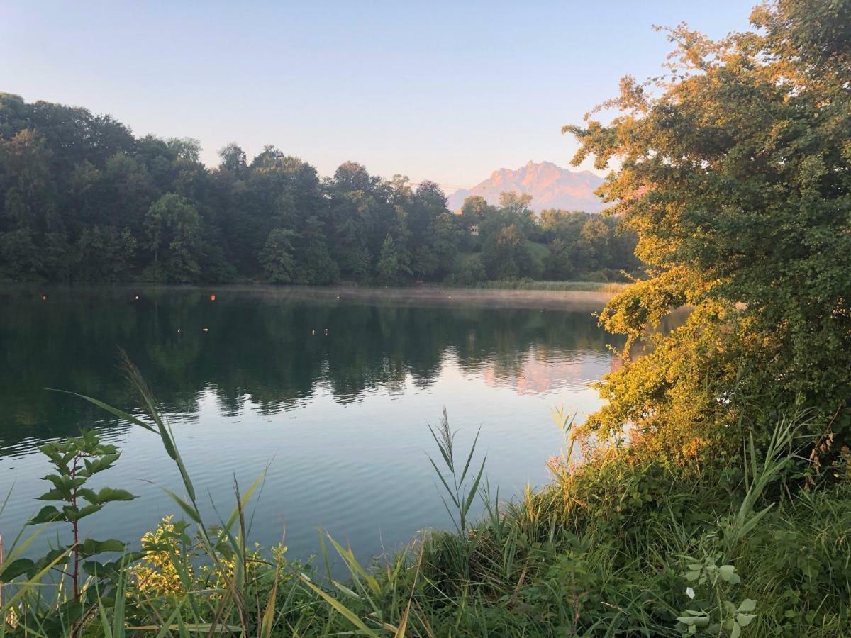 Charming Studio Near Rotsee Lucerne Kitchen/Wifi/Wasching Machine Kültér fotó